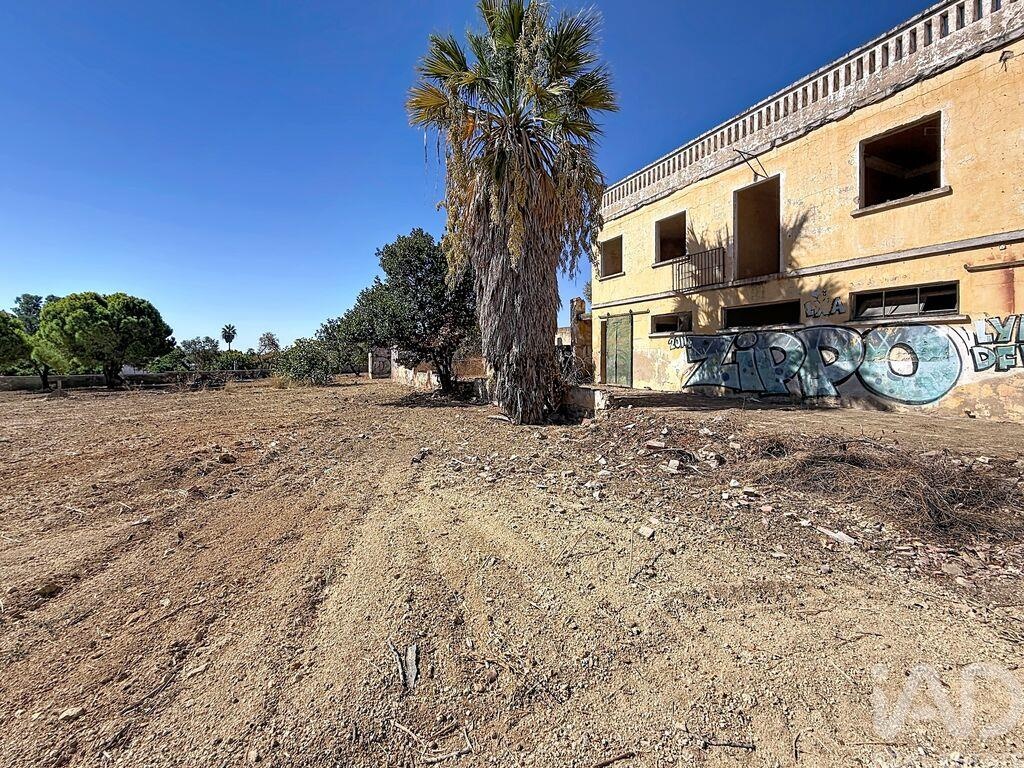 Farm, Ranch or Equestrian in Quelfes - Image 2