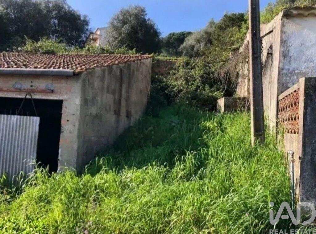 House in Alcobertas - Image 3