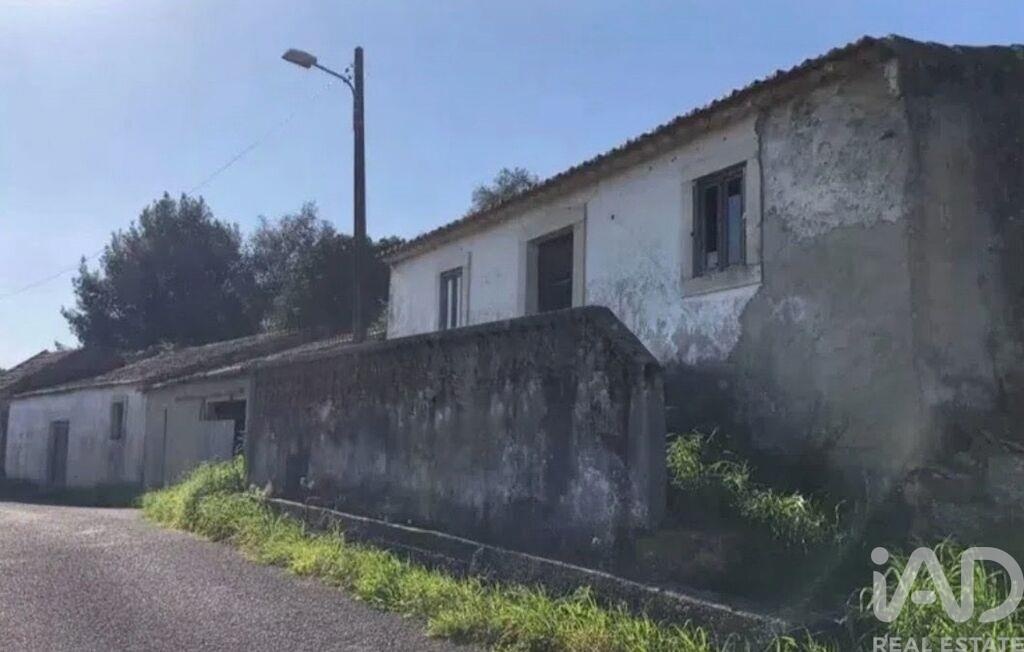 House in Alcobertas - Image 2