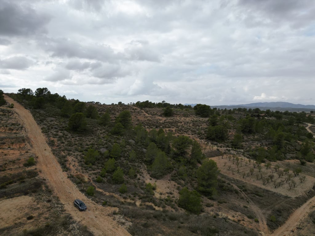 Land in La Zarza - Image 2