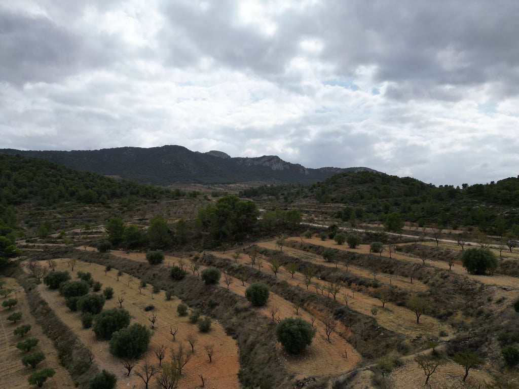 Land in La Zarza