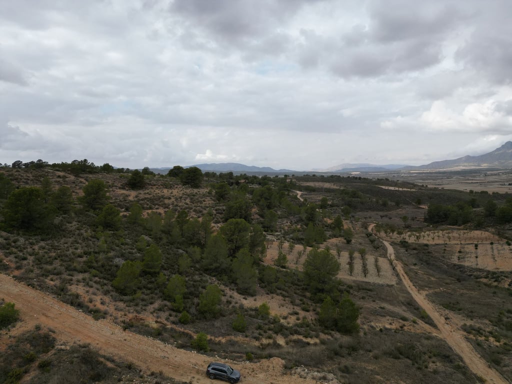 Land in La Zarza - Image 3