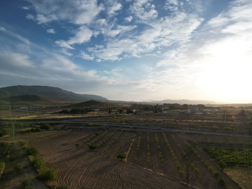 Land in Pinoso - Image 3