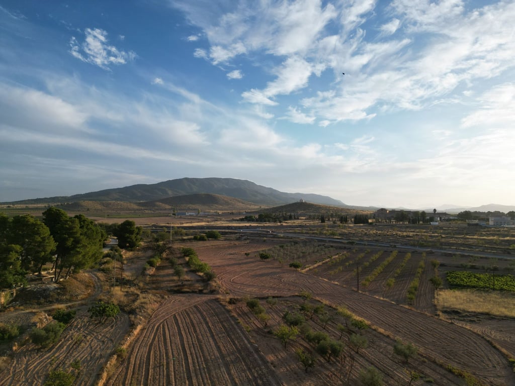 Land in Pinoso - Image 2