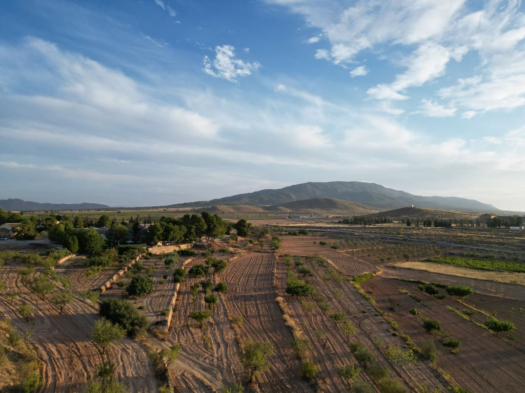 Land in Pinoso