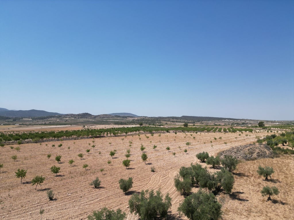 Land in Pinoso - Image 2