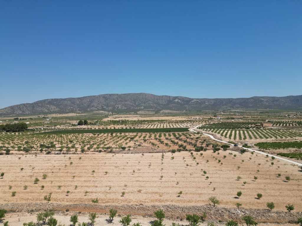 Land in Pinoso