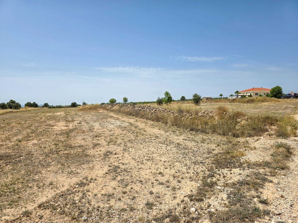 Land in Pinoso