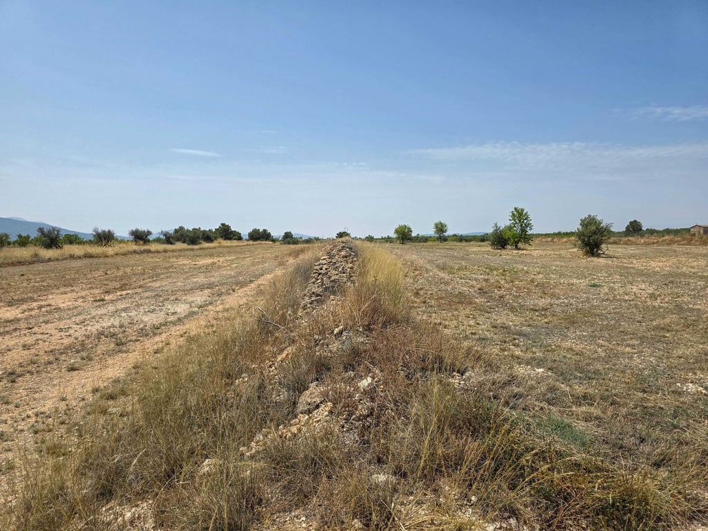 Land in Pinoso - Image 2