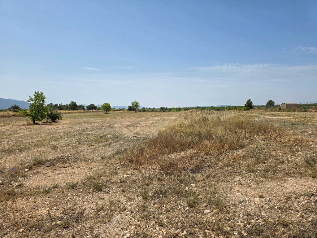 Land in Pinoso - Image 3