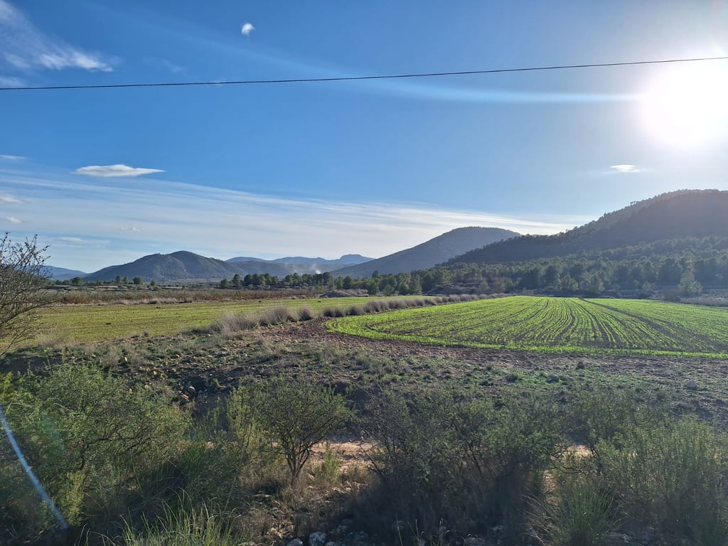 Land in Monovar - Image 2
