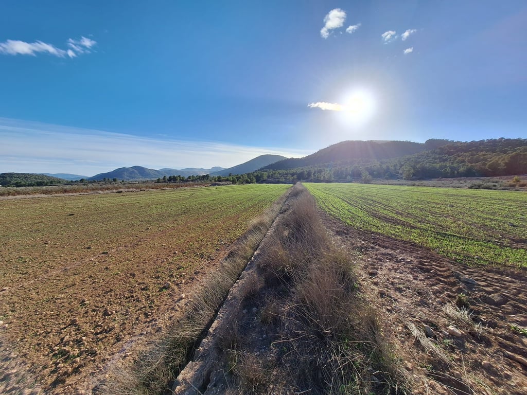 Land in Monovar - Image 3