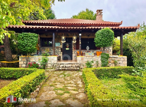 House in Evrostina