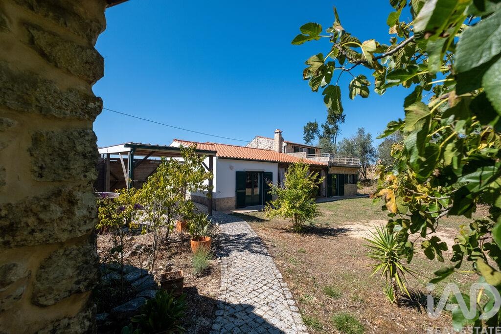 House in Ansiao
