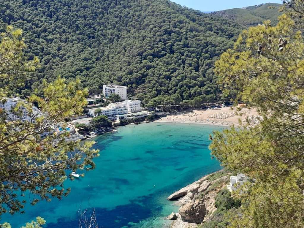 Villa in Playa De Cala Llonga