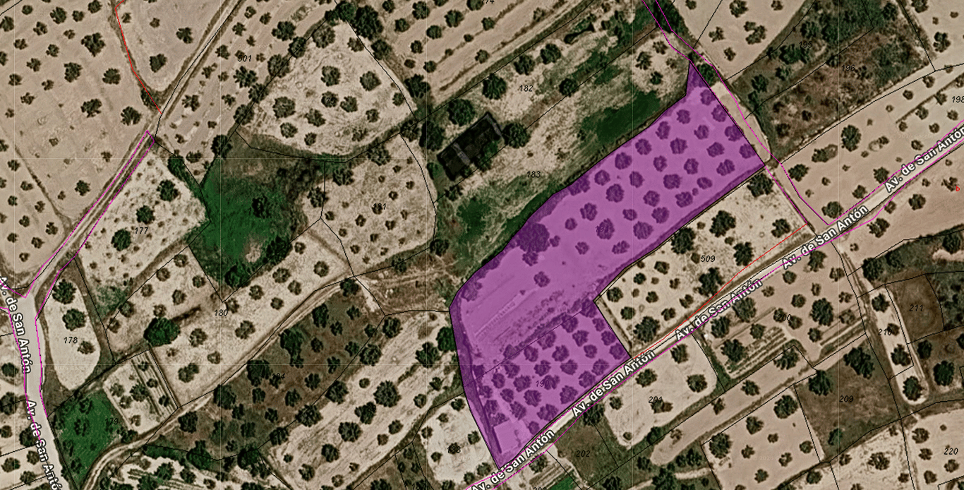 Land in Bullas