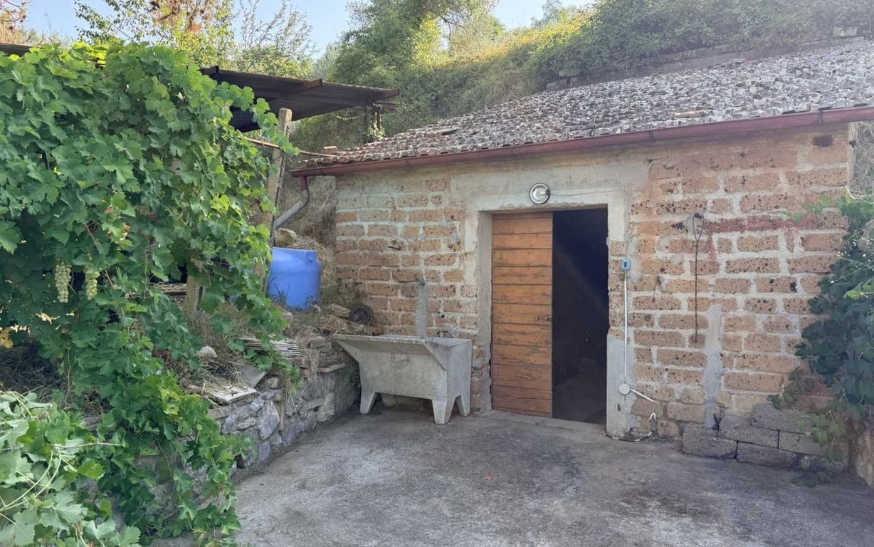 House in Colle - Image 3
