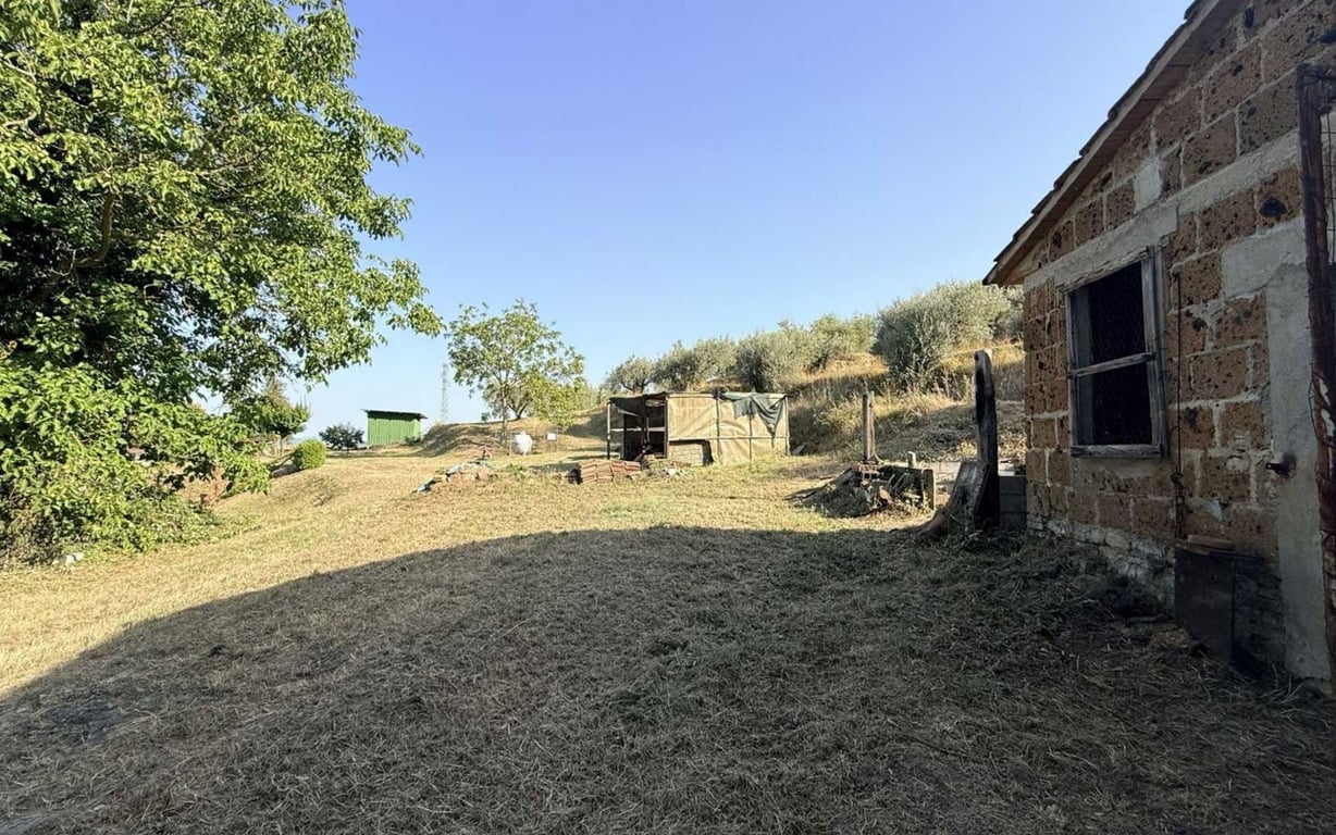 House in Colle