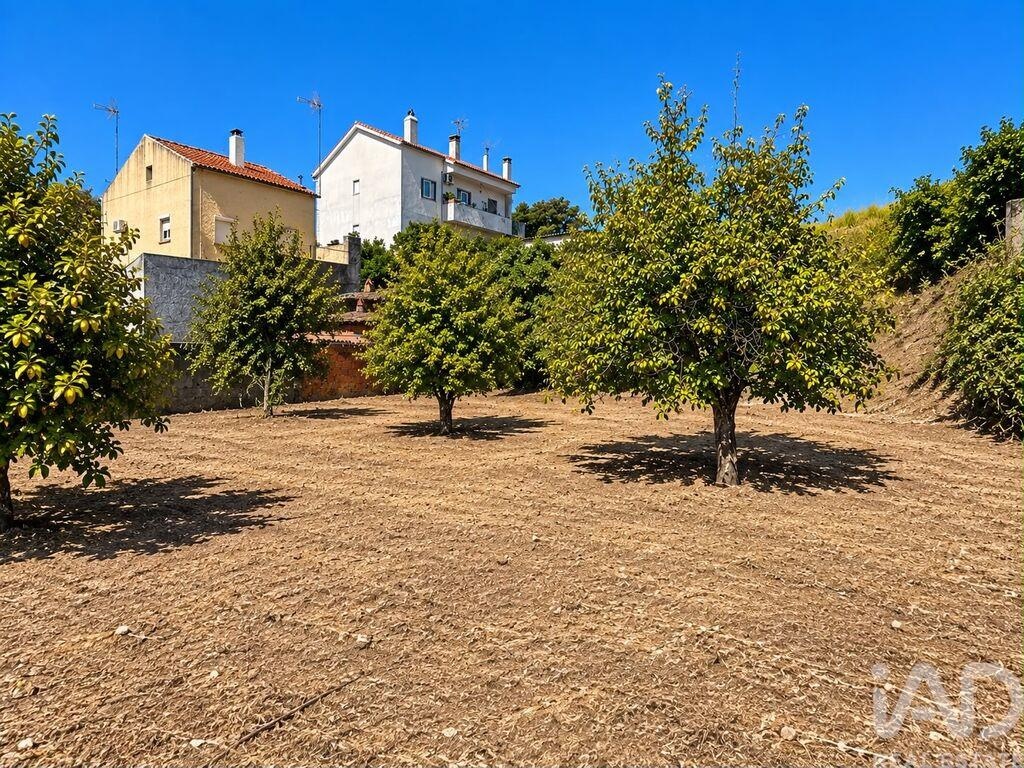 Land in Sobral do Campo - Image 3