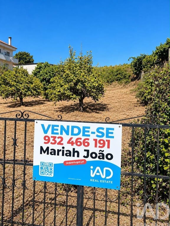 Land in Sobral do Campo - Image 2