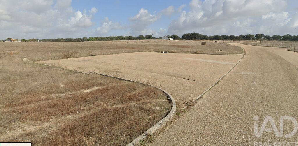 Land in Palmela - Image 2