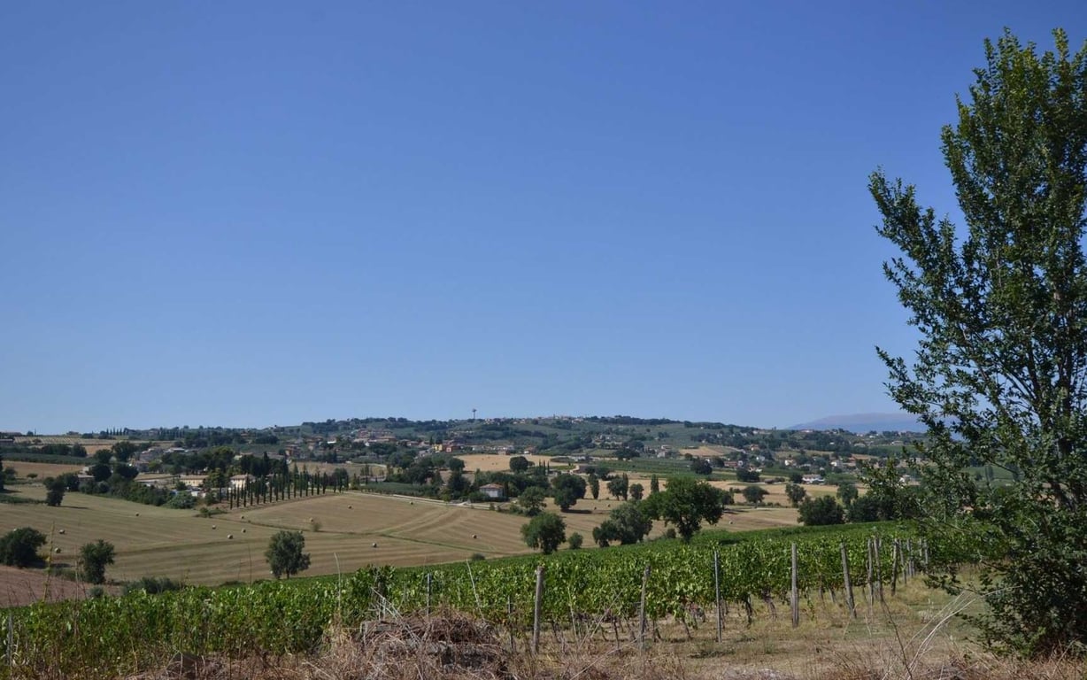 House in Montefalco - Image 3