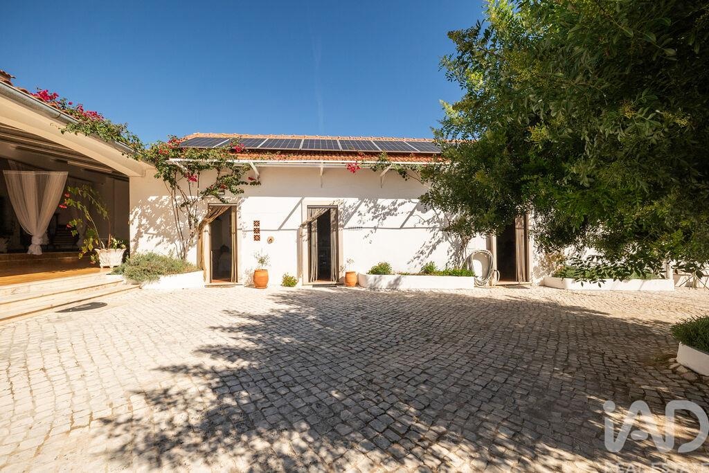 Farm, Ranch or Equestrian in Areias - Image 3