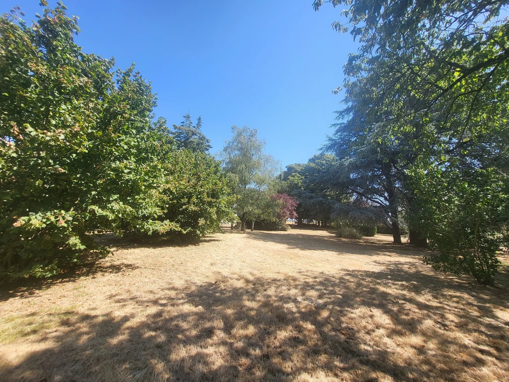 House in La Chapelle-Mouliere - Image 2