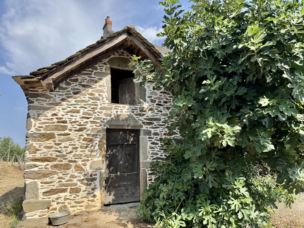 House in Rieupeyroux - Image 3