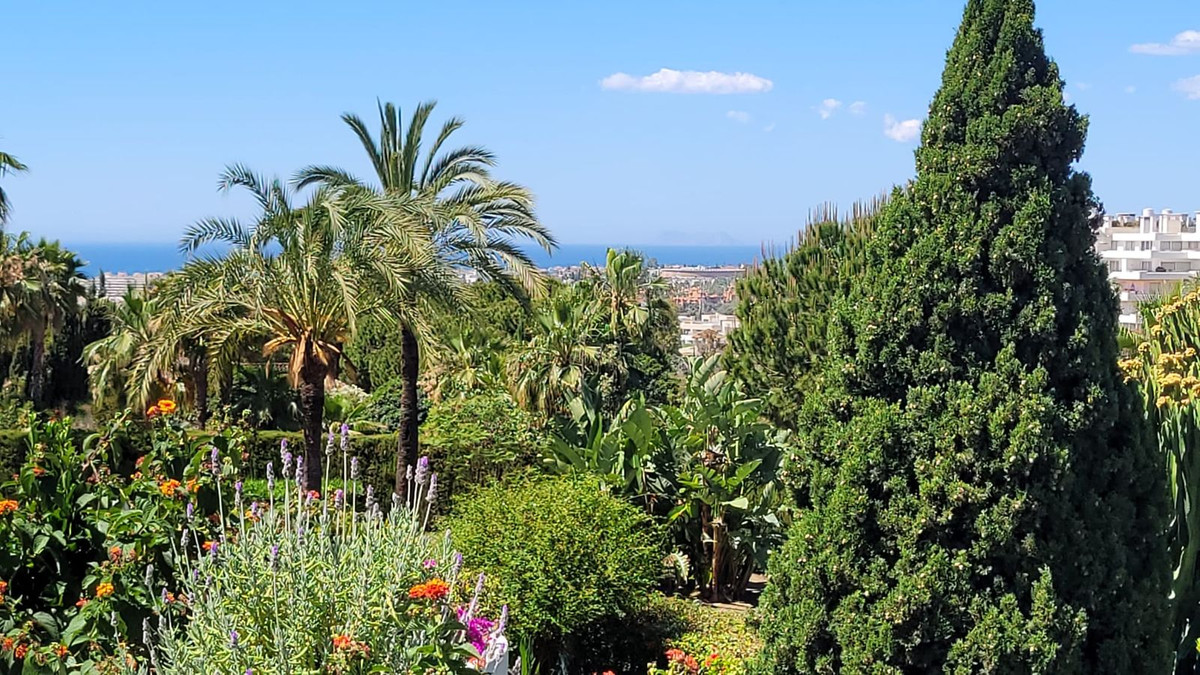 Apartment in Nueva Andalucia