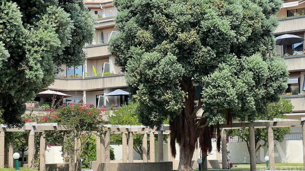 Apartment in Sao Felix da Marinha - Image 3