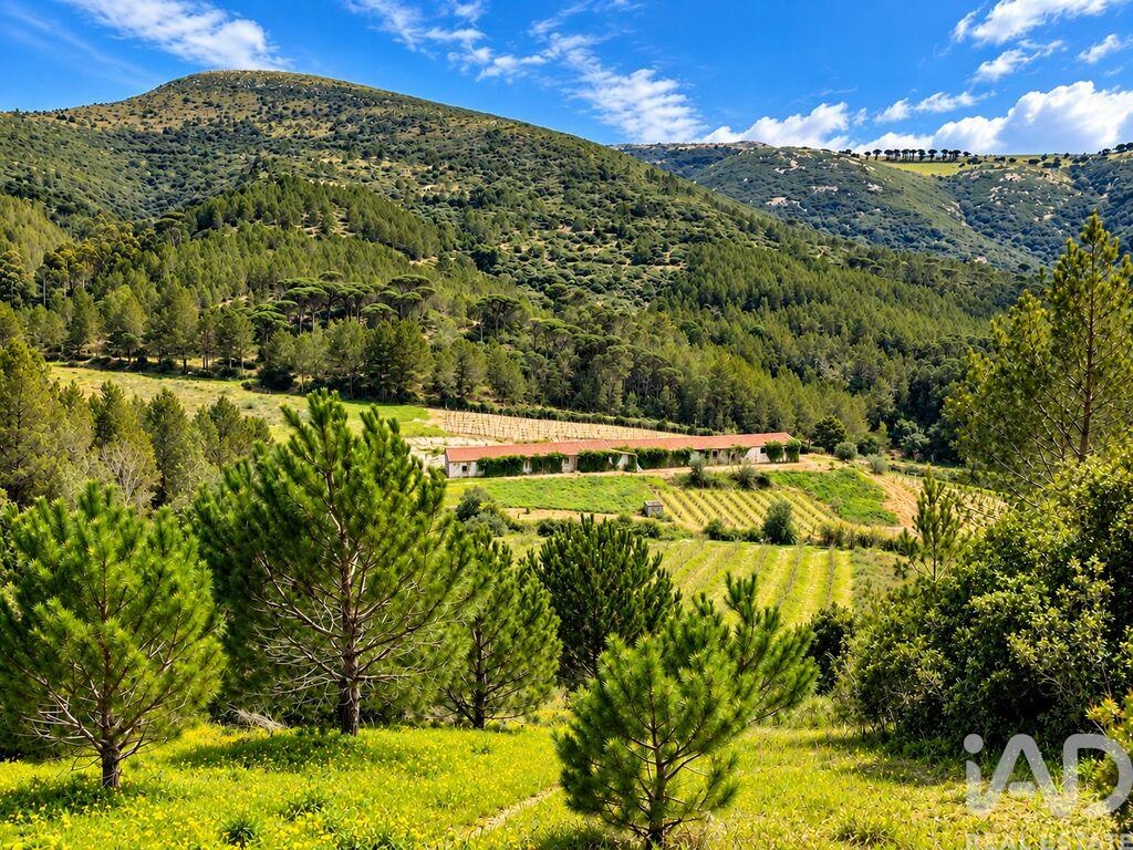 Land in Vilar