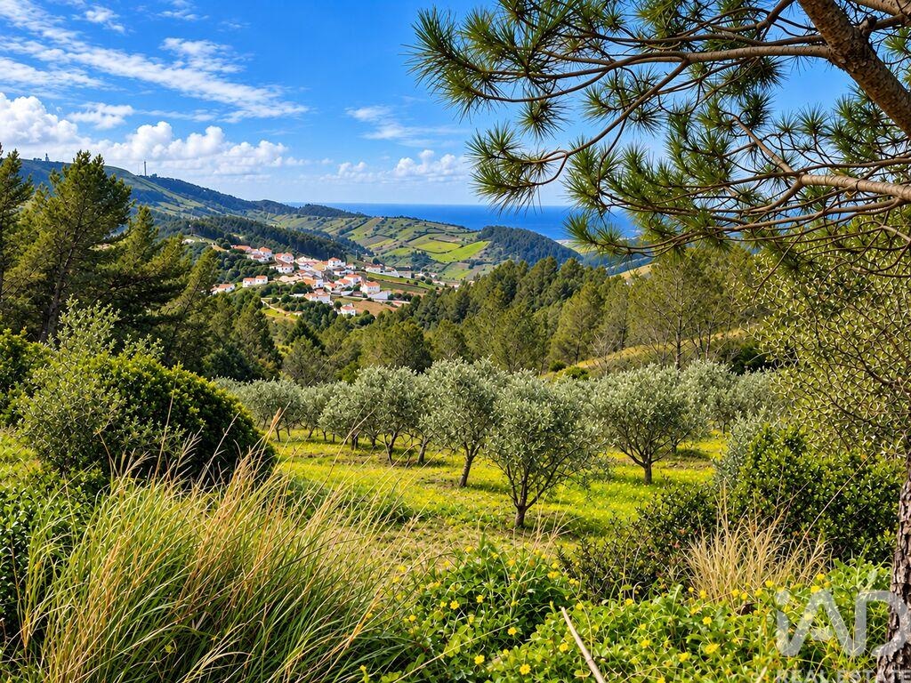 Land in Vilar - Image 3