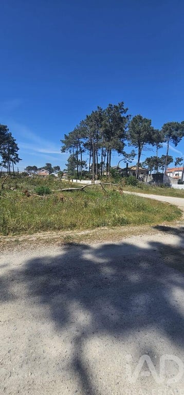 Land in Charneca de Caparica