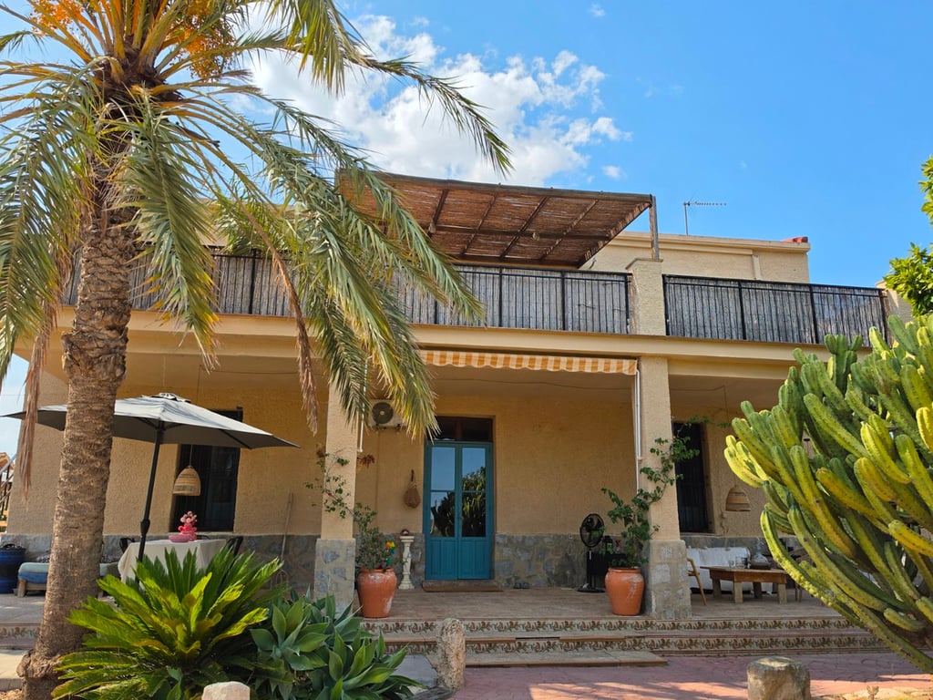House in Elche
