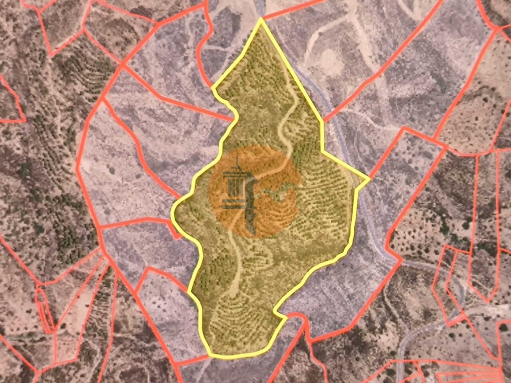 Land in Castro Marim - Image 2