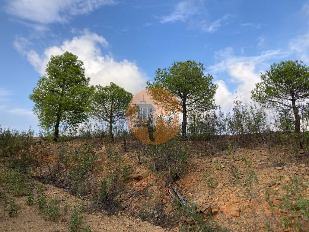 Land in Castro Marim