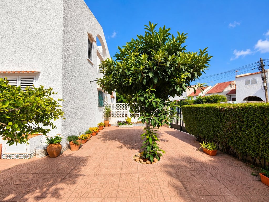 House in Torrevieja - Image 2