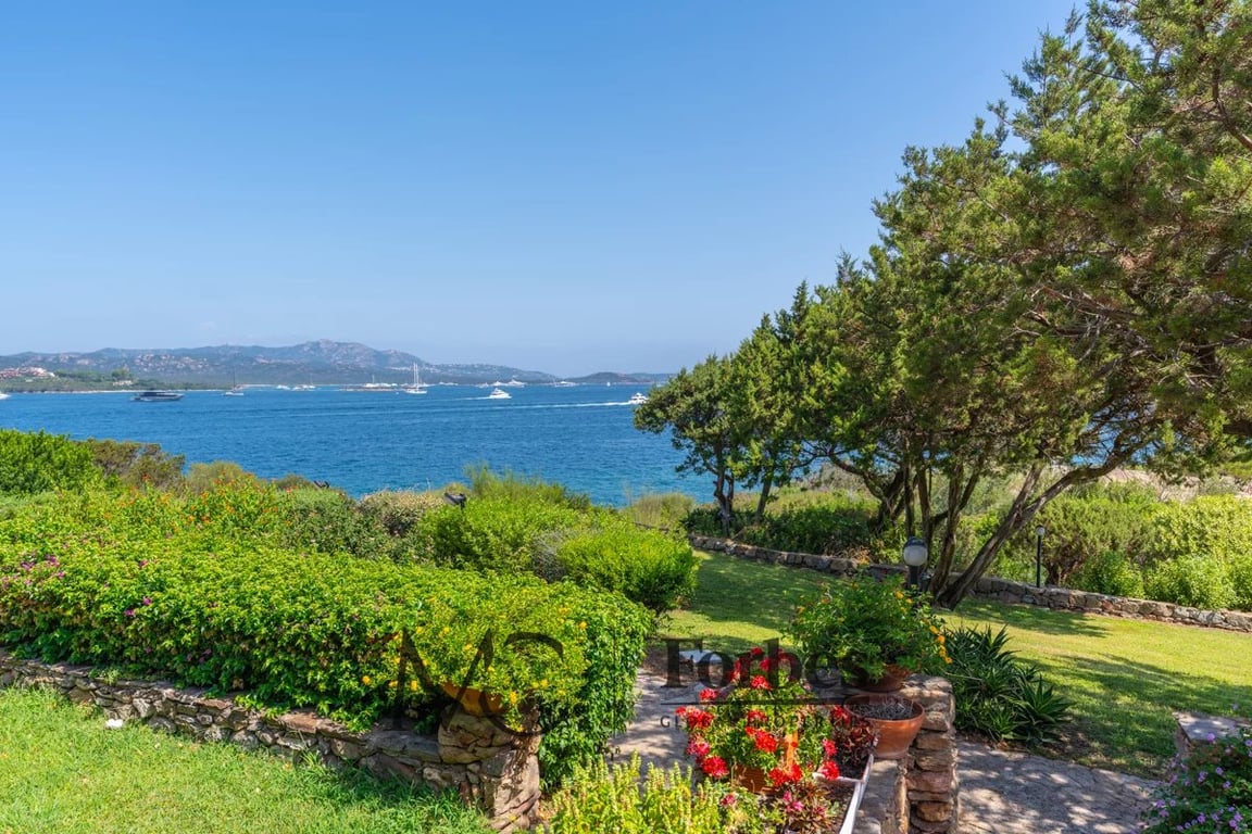 Apartment in Porto Rotondo - Image 3