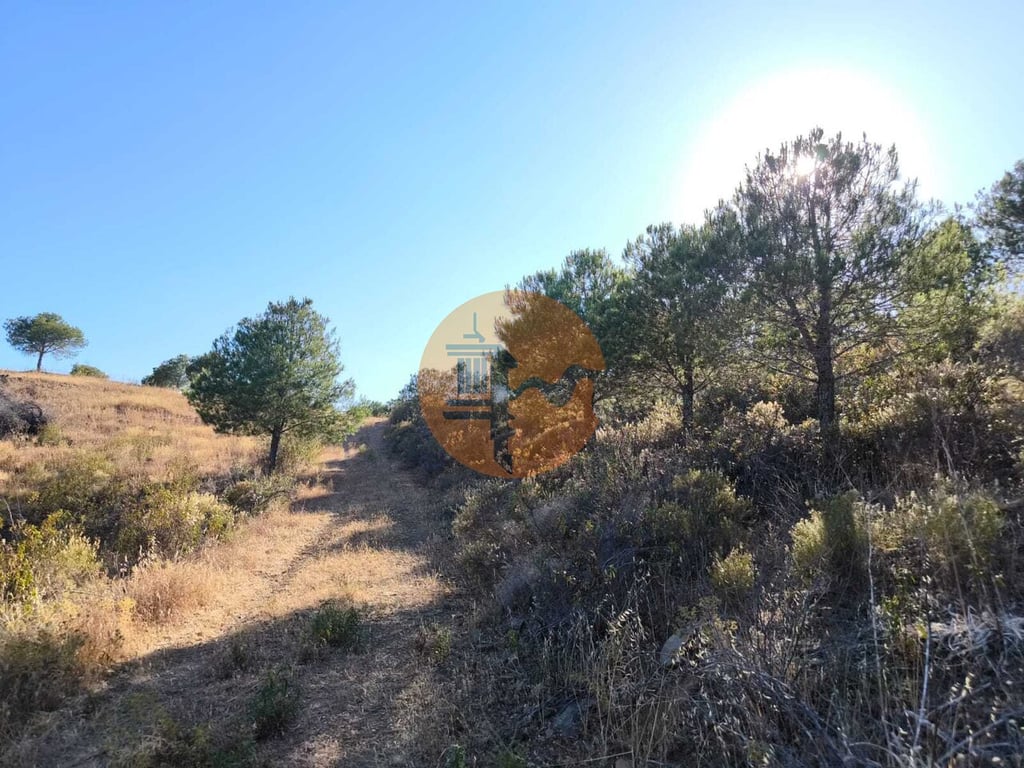 Land in Castro Marim - Image 3