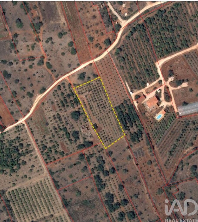 Land in Silves - Image 2