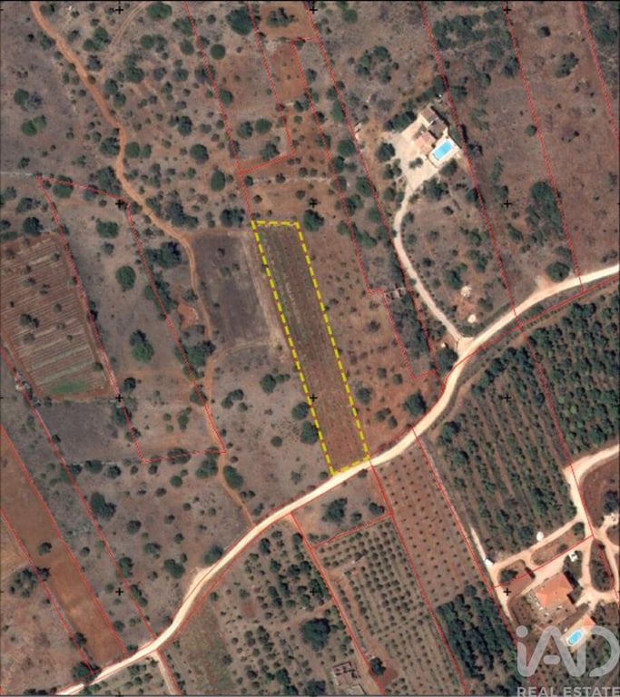 Land in Silves