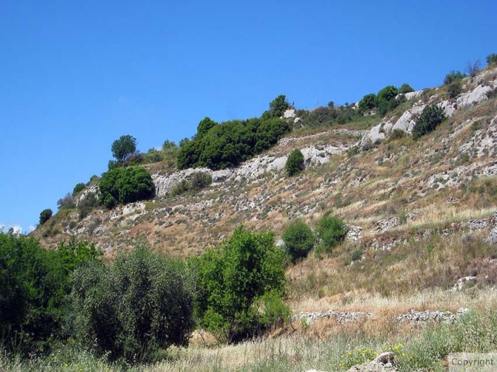 Land in Letymvou
