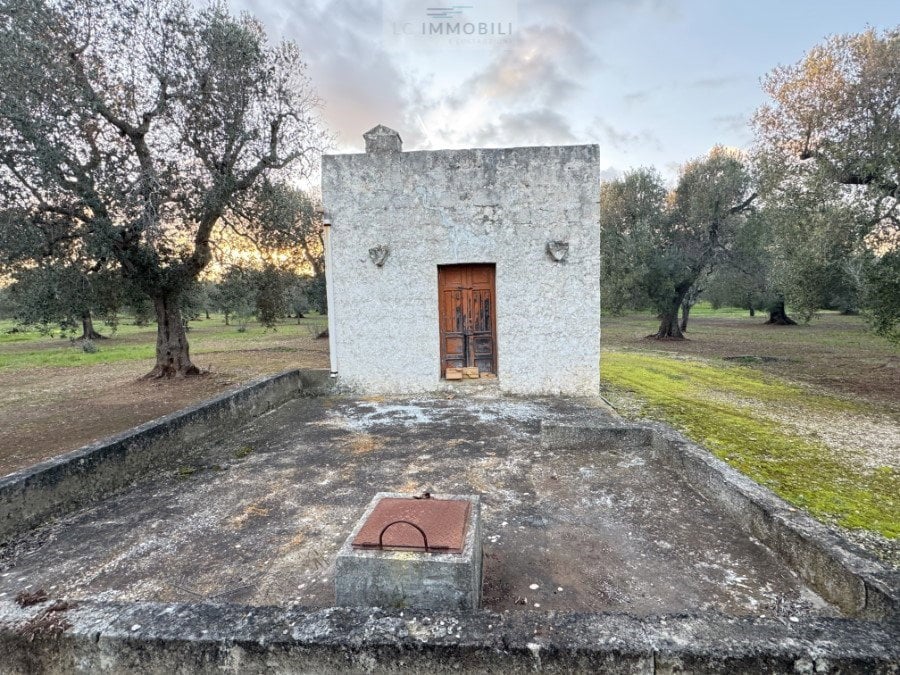 Land in Carovigno - Image 2