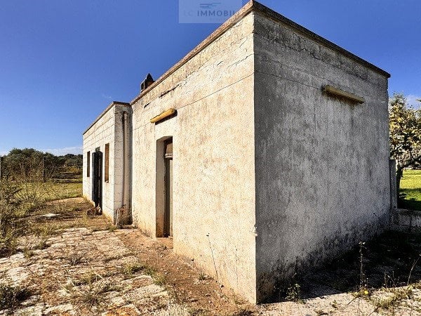 Land in Carovigno - Image 2