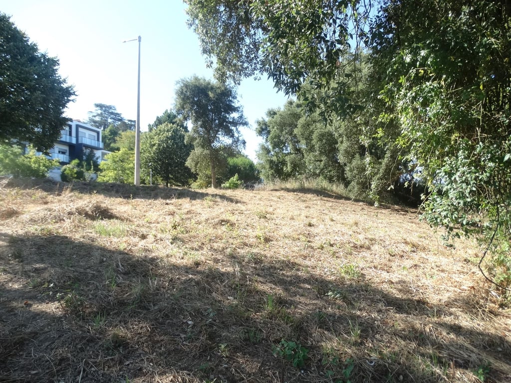 Land in Leiria - Image 3