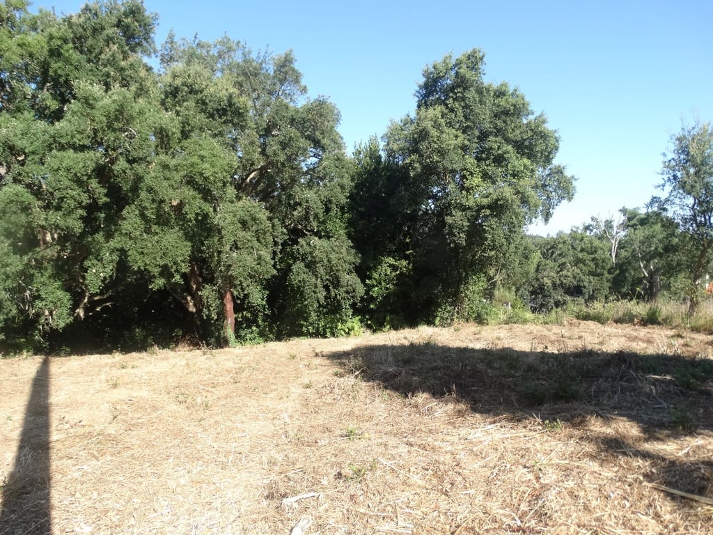 Land in Leiria