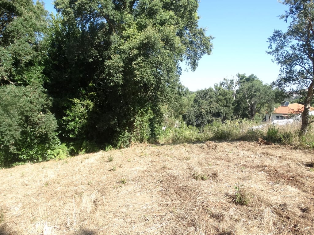 Land in Leiria - Image 2