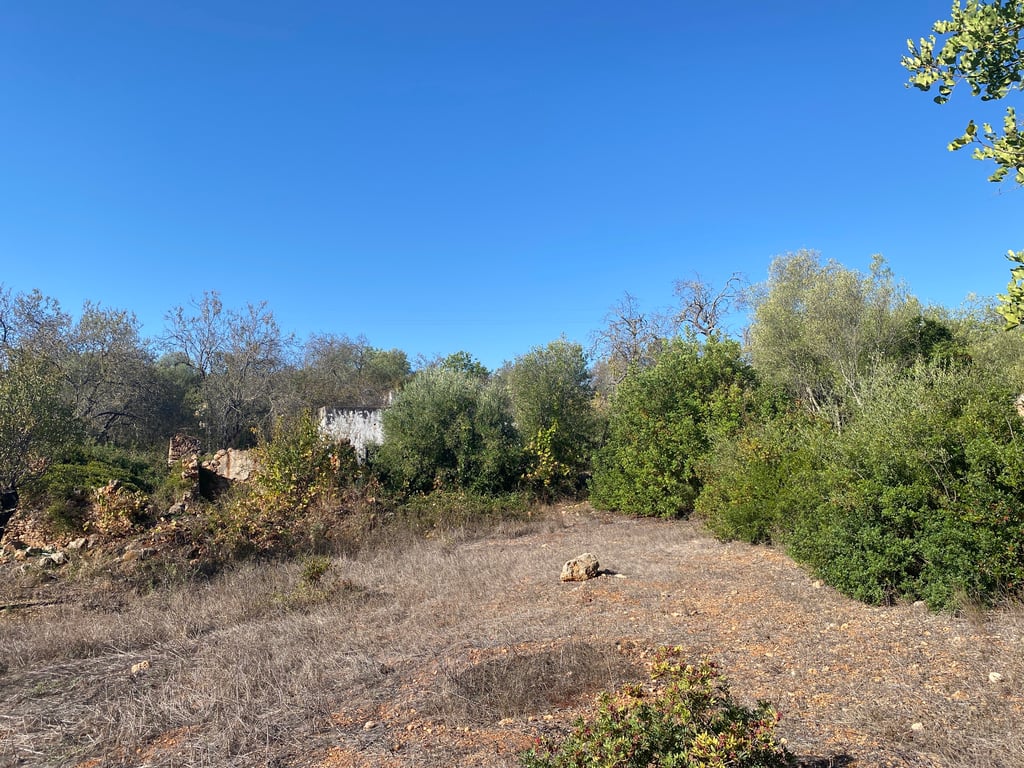 Land in Loule - Image 2