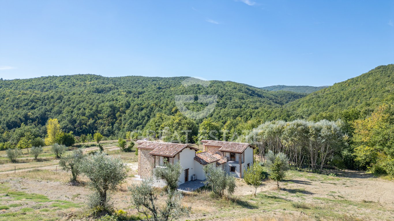 House in Quadro